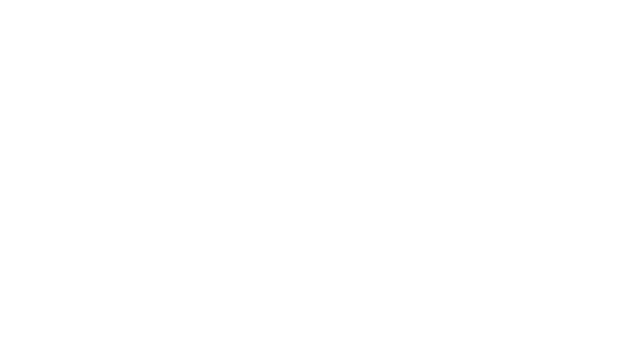 Hangar Flying